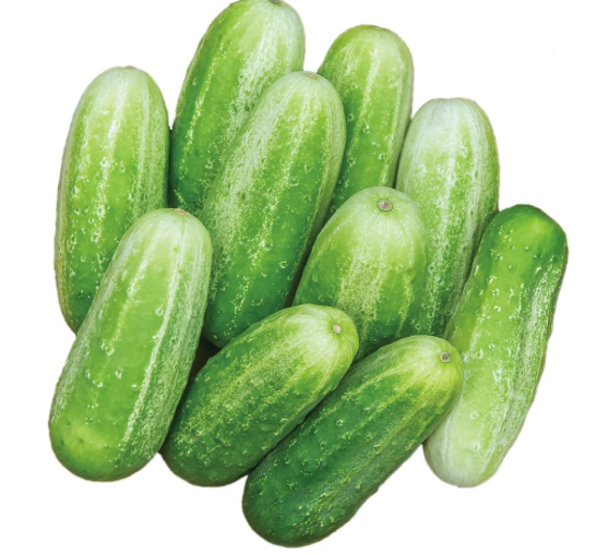 Desi Cucumber (1 LB)