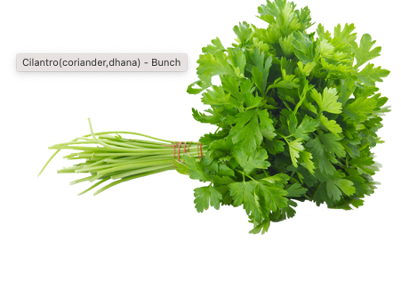 Cilantro(coriander,dhana) - Bunch