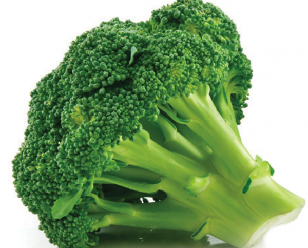 Fresh Broccoli 1 Bunch