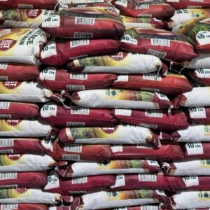 Basmatic rice